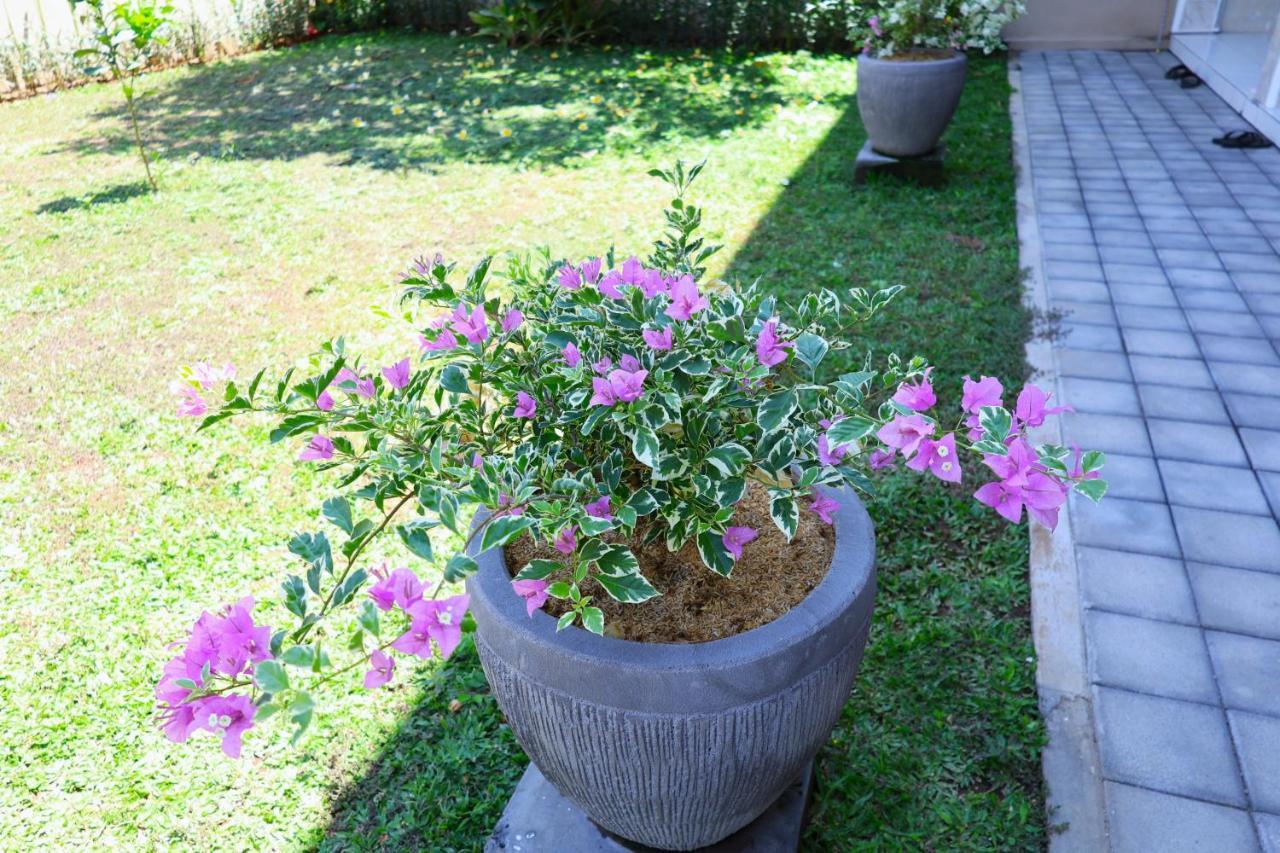 Pondok Dete Guesthouse Sanur Екстериор снимка